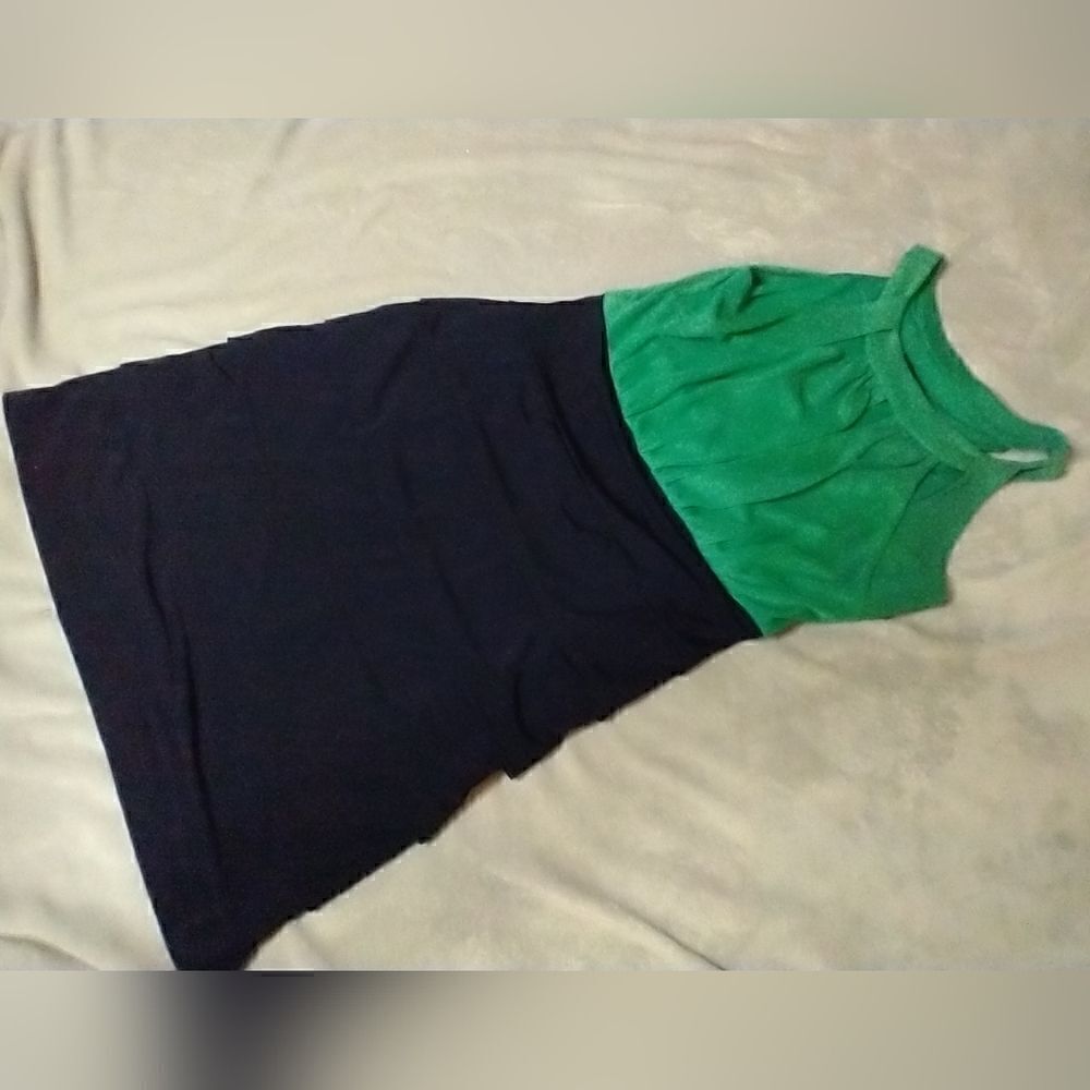 USED Enfocus Studio Dress